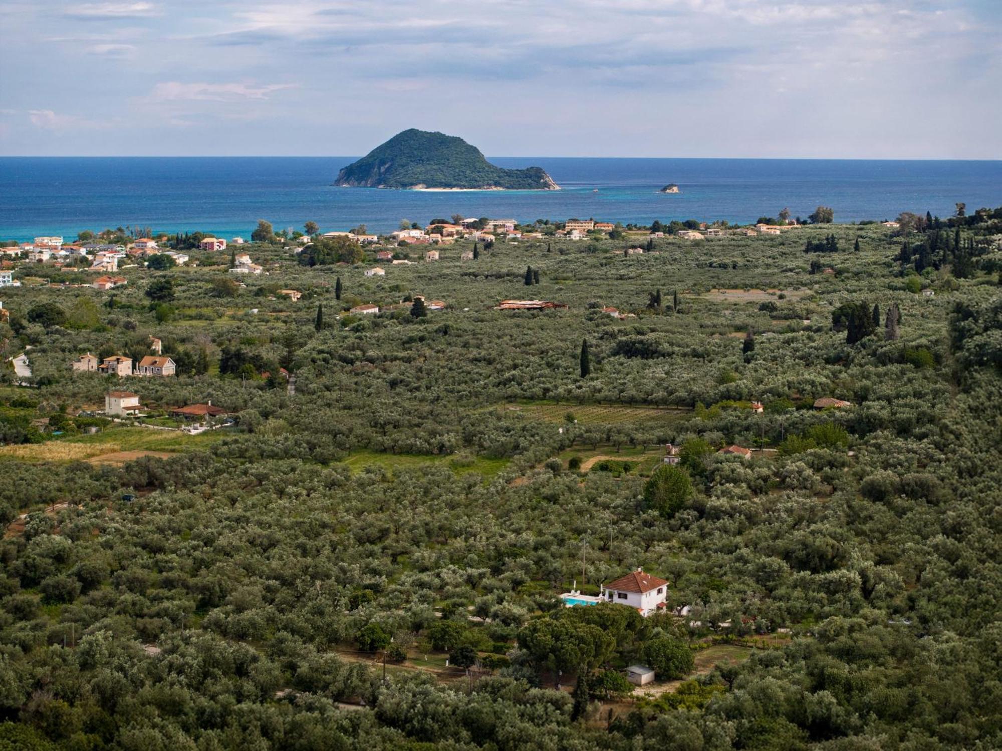 Villa Lola - 3 Bedrooms & Private Pool Lithakia  Exterior foto